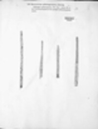 Apiospora sphaerosperma image